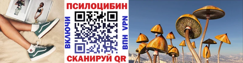 Галлюциногенные грибы Magic Shrooms  Купить  Ленинградская 